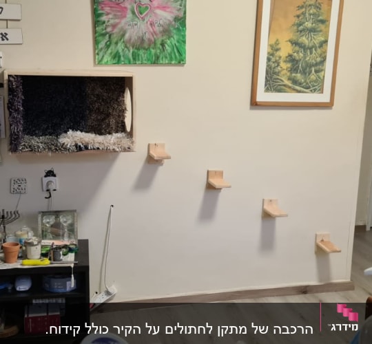 מדפים קטנים על הקיר ליד קופסת עץ